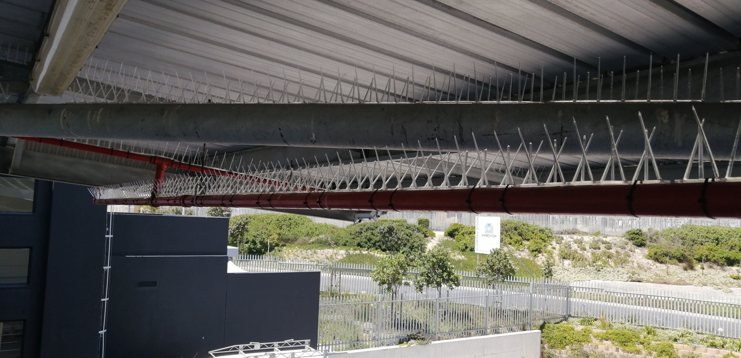 Spikes are mounted on metal beams overhead, with a red pipe running parallel and greenery visible below.