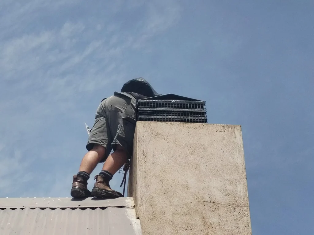 Fitting bird proofing to a chimney in Cape Town